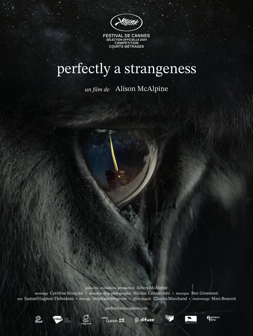 perfectly-a-strangeness-fr-v2 Perfectly a Strangeness Poster